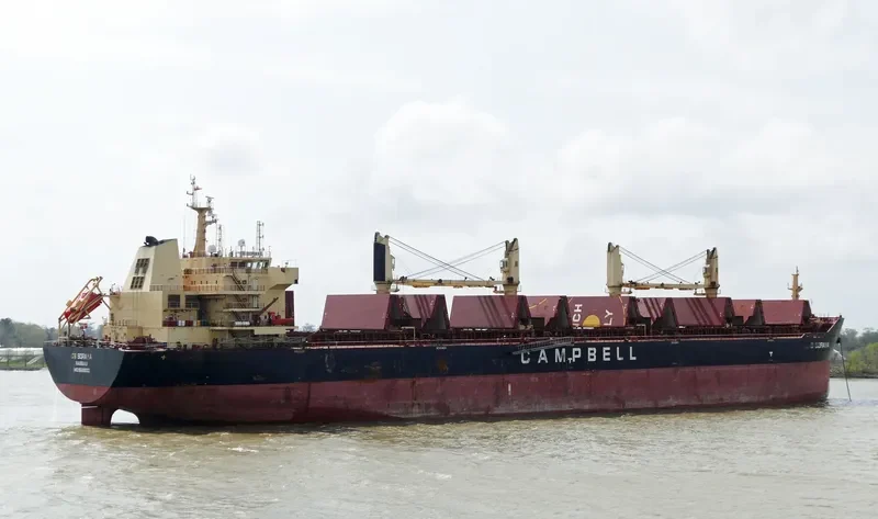 AVRA 1 Bulk Carrier IMO 9569932 photo 4