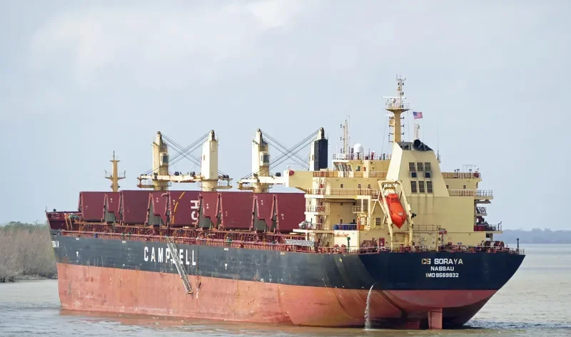 AVRA 1 Bulk Carrier IMO 9569932 photo 5