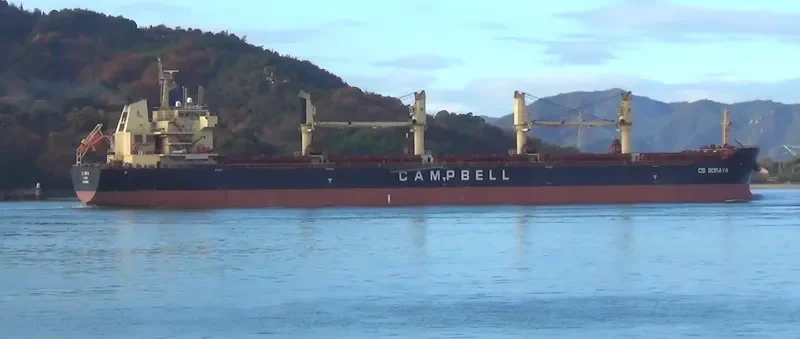 AVRA 1 Bulk Carrier IMO 9569932 photo 6