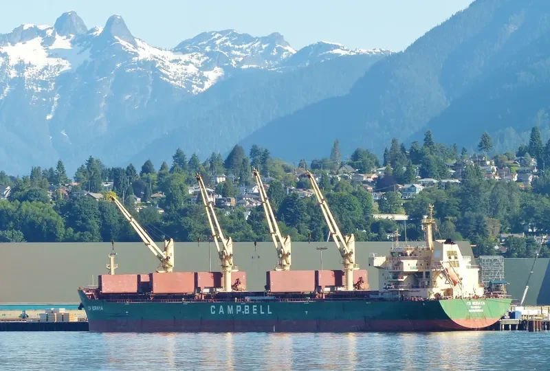 AVRA 1 Bulk Carrier IMO 9569932 photo 7