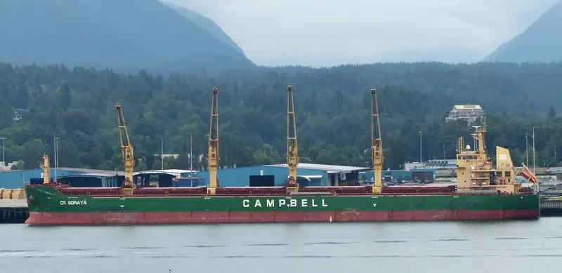 AVRA 1 Bulk Carrier IMO 9569932 photo 8
