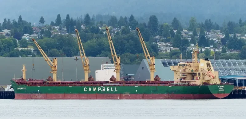 AVRA 1 Bulk Carrier IMO 9569932 photo 9