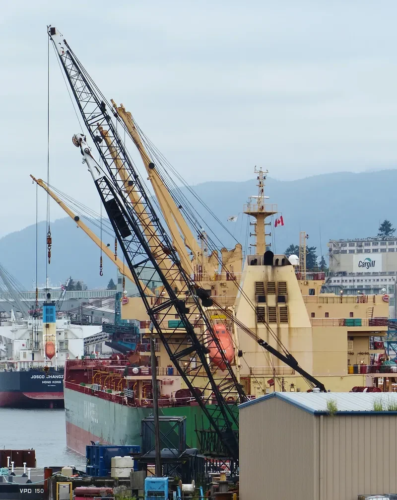 AVRA 1 Bulk Carrier IMO 9569932 photo 10