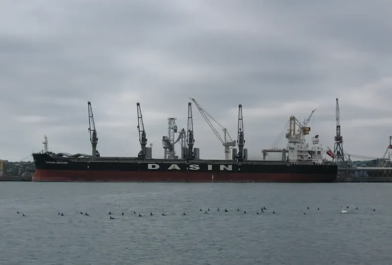 MANDARIN SINGAPORE Bulk Carrier IMO 9569968