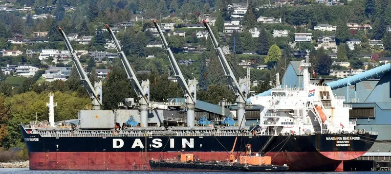 MANDARIN SINGAPORE Bulk Carrier IMO 9569968 photo 2