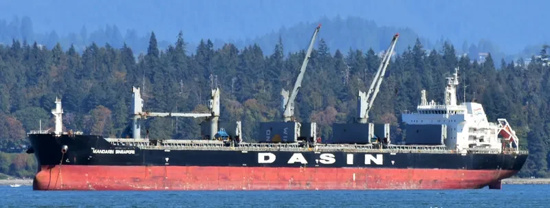 MANDARIN SINGAPORE Bulk Carrier IMO 9569968 photo 7