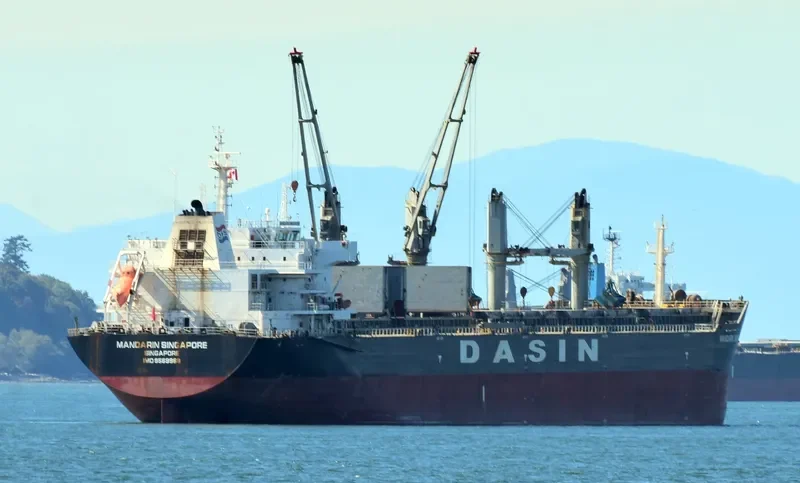 MANDARIN SINGAPORE Bulk Carrier IMO 9569968 photo 8