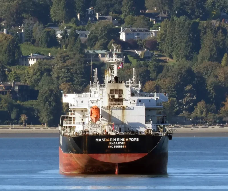 MANDARIN SINGAPORE Bulk Carrier IMO 9569968 photo 9