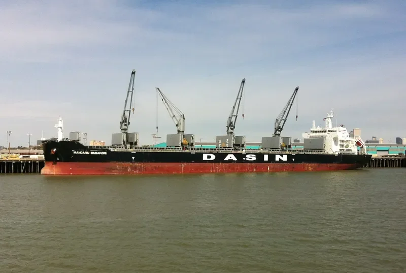 MANDARIN SINGAPORE Bulk Carrier IMO 9569968 photo 10