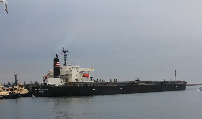 MAIZURU BISHAMON Bulk Carrier IMO 9570395 photo 2