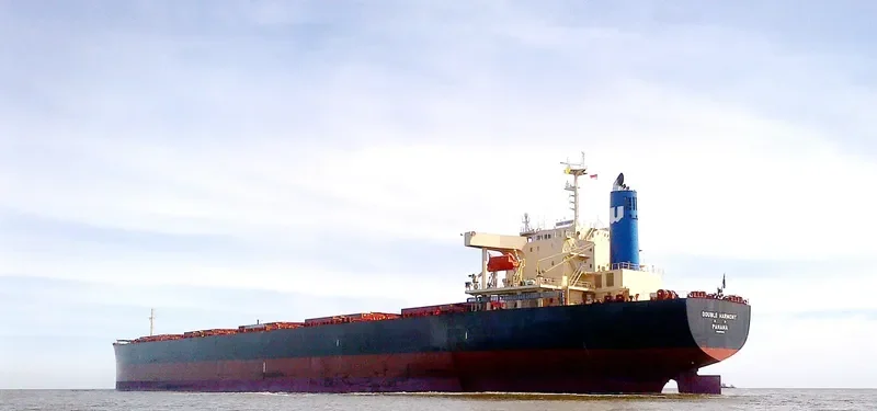 DOUBLE HARMONY Bulk Carrier IMO 9570400 photo 3