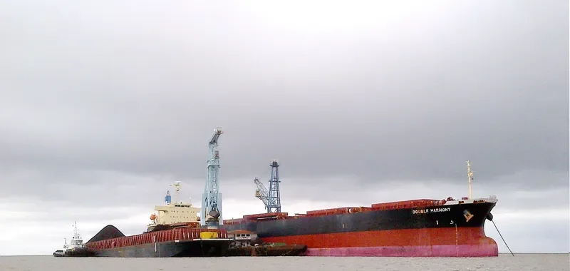DOUBLE HARMONY Bulk Carrier IMO 9570400 photo 5