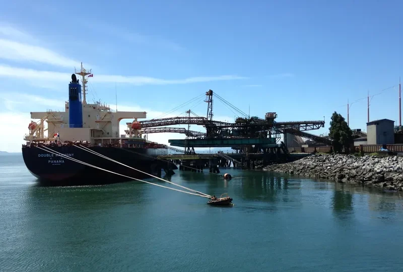 DOUBLE HARMONY Bulk Carrier IMO 9570400 photo 10