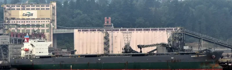 SUNRISE SERENITY Bulk Carrier IMO 9570462 photo 2
