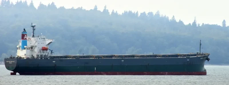 SUNRISE SERENITY Bulk Carrier IMO 9570462 photo 3