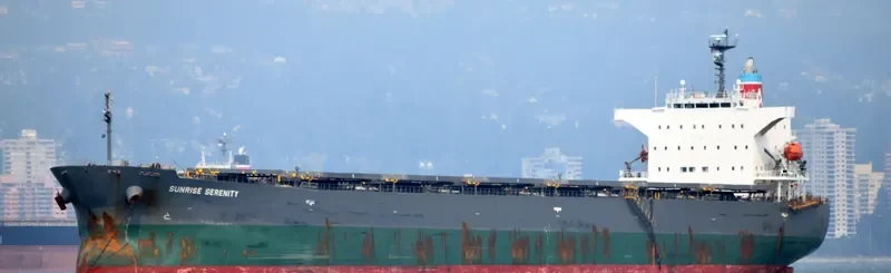 SUNRISE SERENITY Bulk Carrier IMO 9570462 photo 5