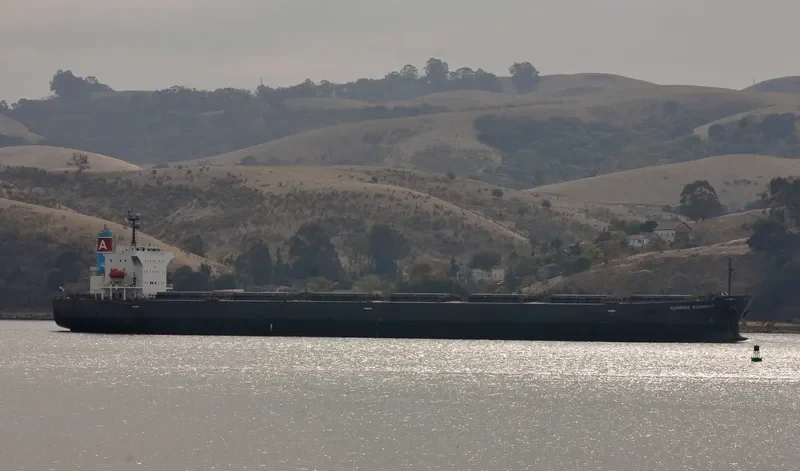 SUNRISE SERENITY Bulk Carrier IMO 9570462 photo 8