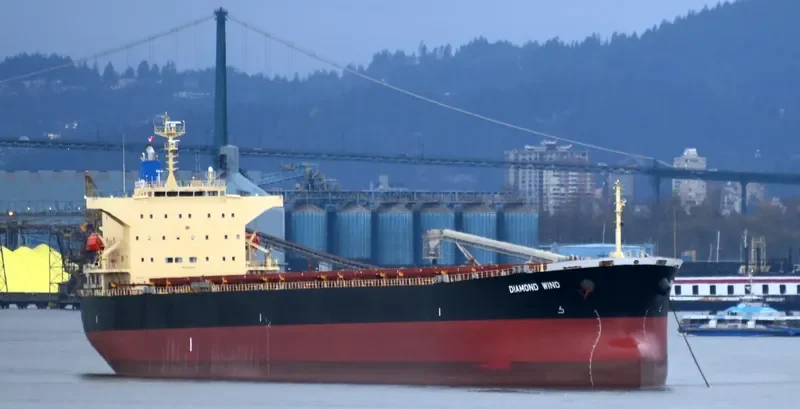 DIAMOND WIND Bulk Carrier IMO 9570474 photo 2