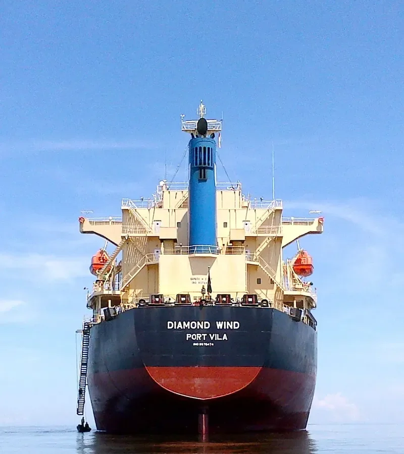 DIAMOND WIND Bulk Carrier IMO 9570474 photo 6