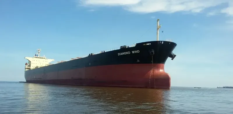 DIAMOND WIND Bulk Carrier IMO 9570474 photo 10