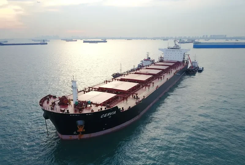 CERVIA Bulk Carrier IMO 9570838
