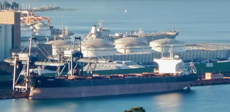 CERVIA Bulk Carrier IMO 9570838 photo 5