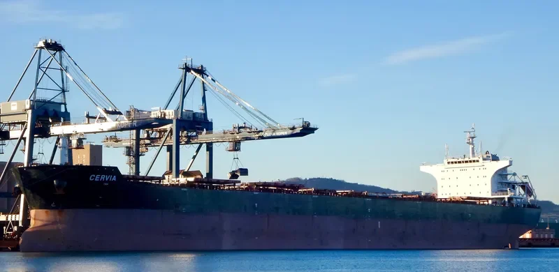 CERVIA Bulk Carrier IMO 9570838 photo 6