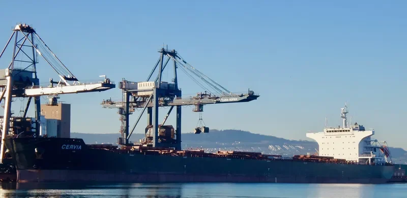 CERVIA Bulk Carrier IMO 9570838 photo 7