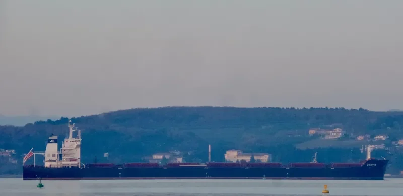 CERVIA Bulk Carrier IMO 9570838 photo 8
