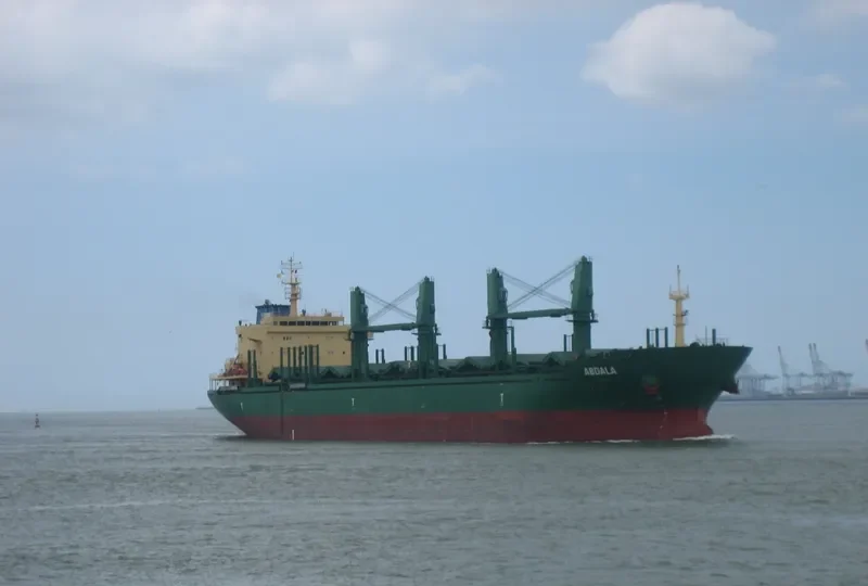 ABDALA Bulk Carrier IMO 9571040 photo 5