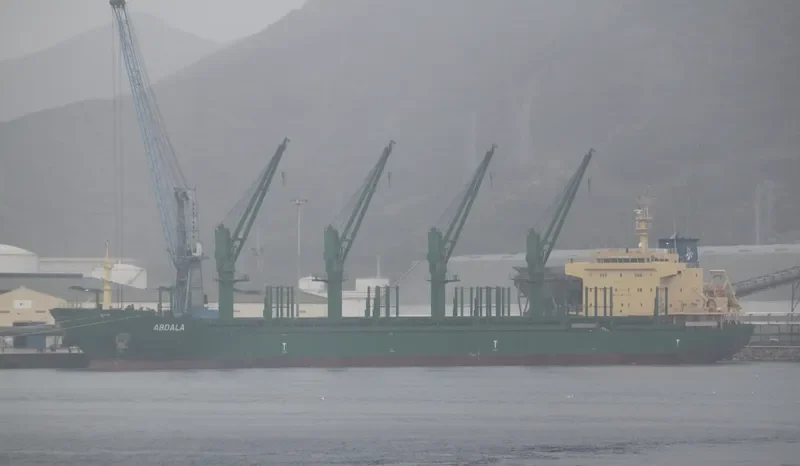 ABDALA Bulk Carrier IMO 9571040 photo 8