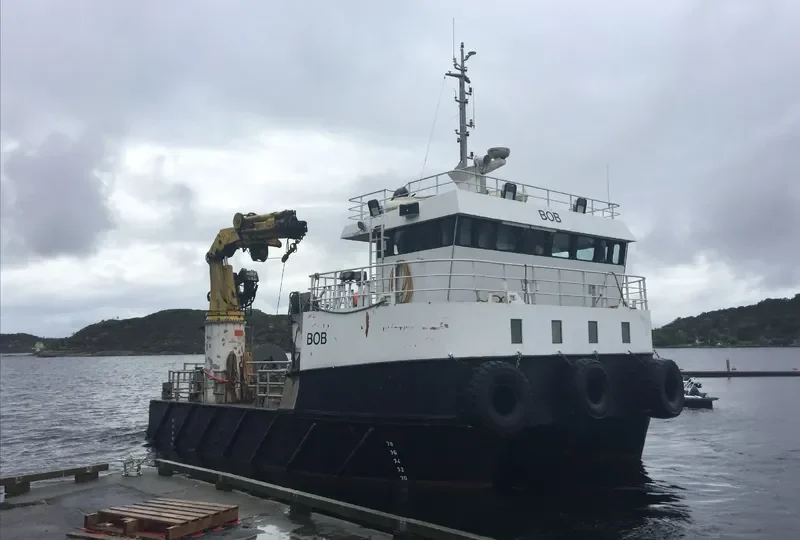 BOB General Cargo IMO 9571076