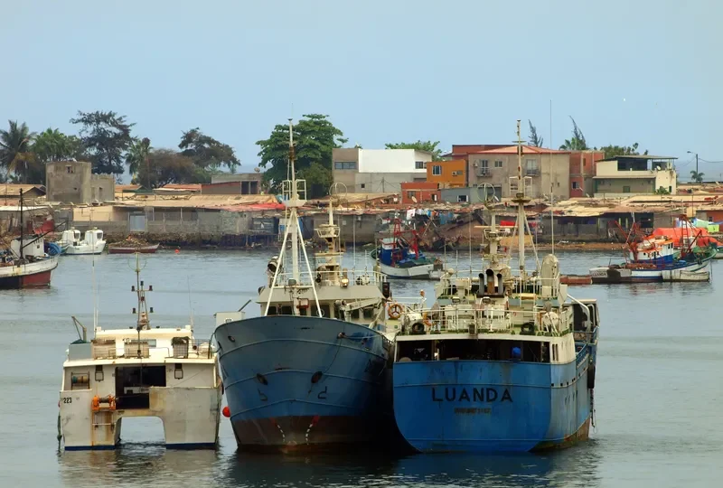 DEMERSAL 2 General Cargo IMO 9571167