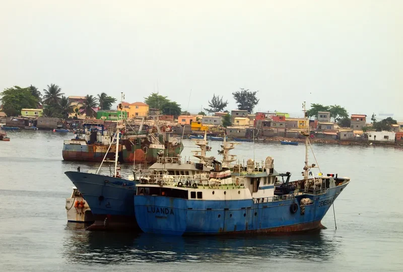 DEMERSAL 2 General Cargo IMO 9571167 photo 2