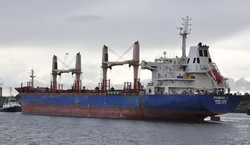 PROMISE 2 Bulk Carrier IMO 9571272 photo 3
