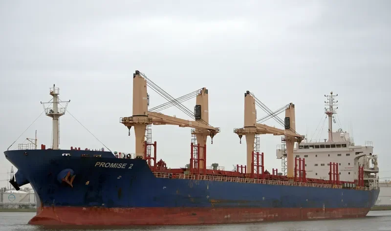 PROMISE 2 Bulk Carrier IMO 9571272 photo 9