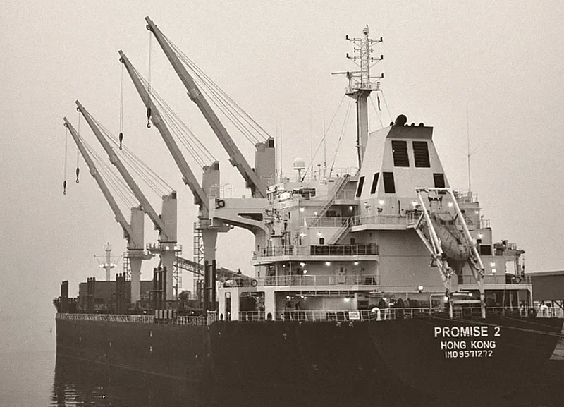 PROMISE 2 Bulk Carrier IMO 9571272 photo 10
