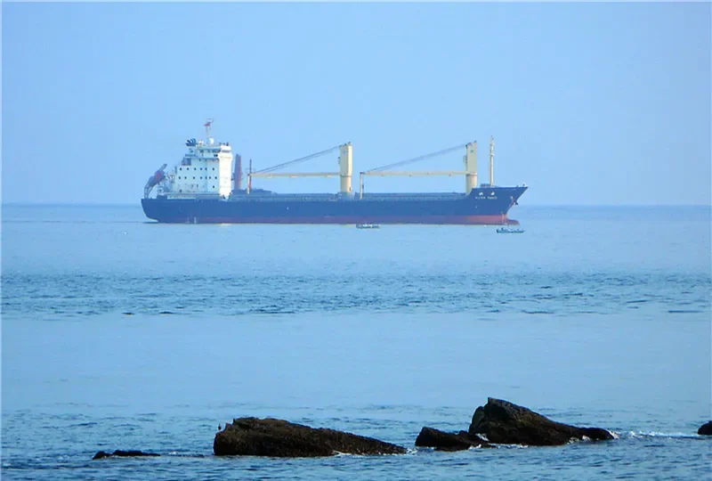 SILVER SAFETY General Cargo IMO 9571349