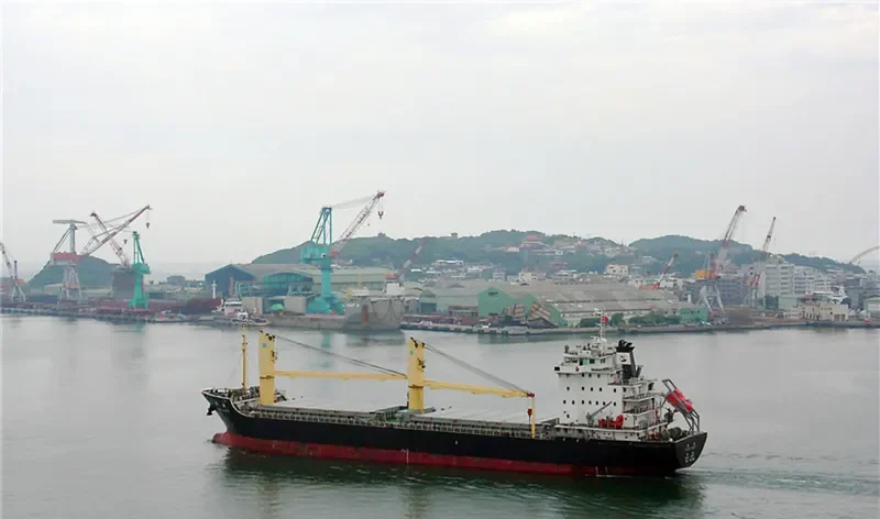 SILVER SAFETY General Cargo IMO 9571349 photo 5
