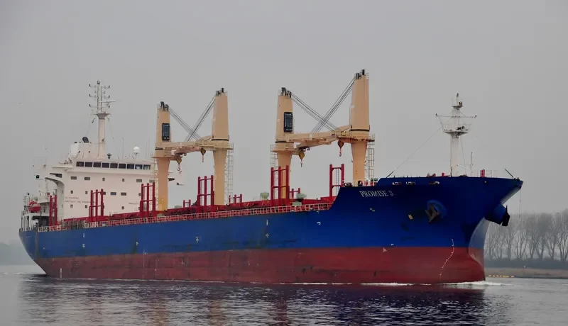 PROMISE 3 Bulk Carrier IMO 9571404 photo 2