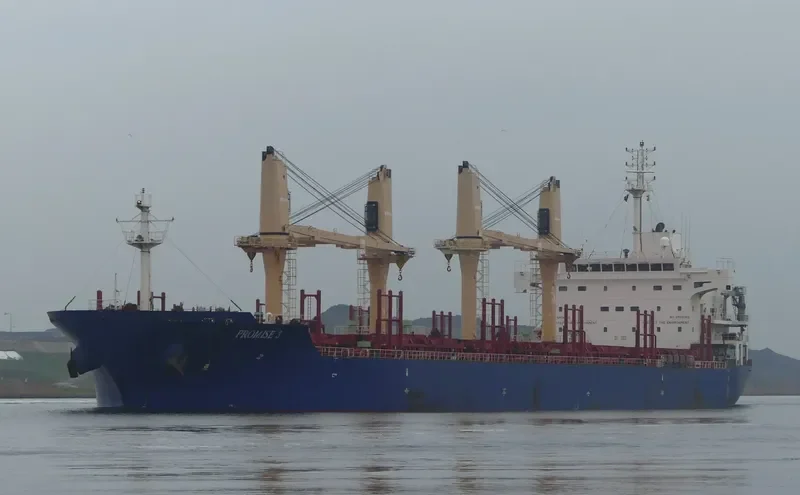 PROMISE 3 Bulk Carrier IMO 9571404 photo 8