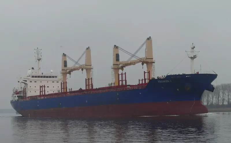PROMISE 3 Bulk Carrier IMO 9571404 photo 9