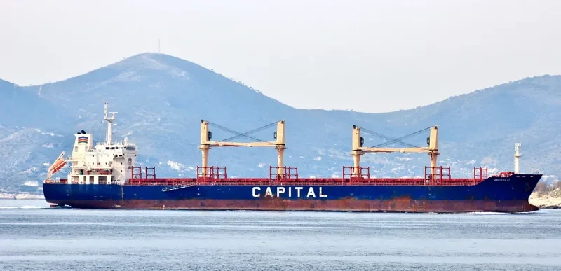 PENELOPE T Bulk Carrier IMO 9571416 photo 3