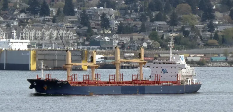 ORIENT GLORY Bulk Carrier IMO 9571428 photo 9