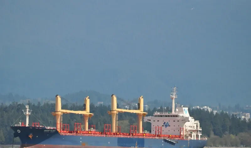 ORIENT GLORY Bulk Carrier IMO 9571428 photo 10