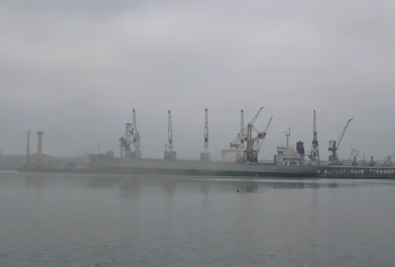 KOTOR Bulk Carrier IMO 9571442