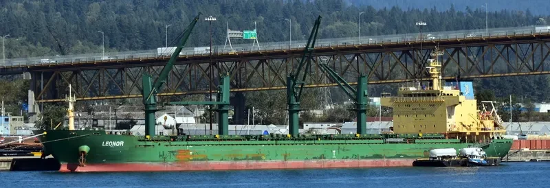OMARA Bulk Carrier IMO 9571571 photo 4