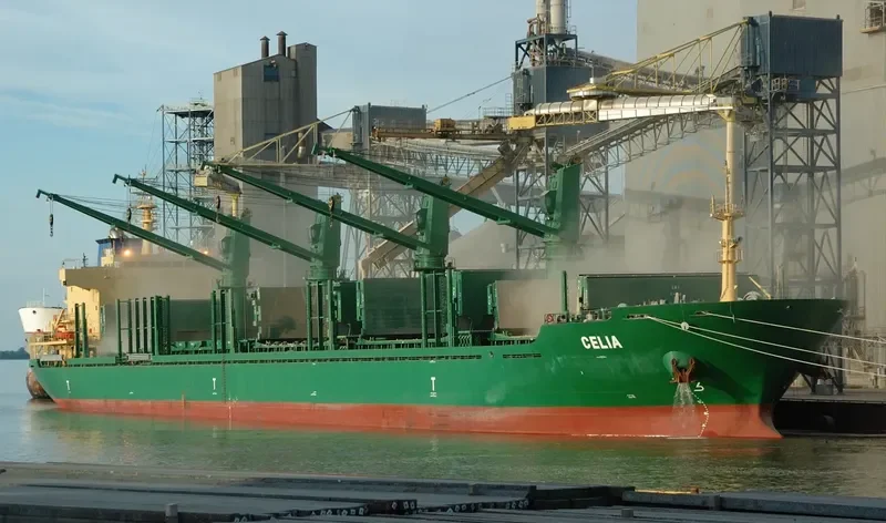 MANDULEY Bulk Carrier IMO 9571600 photo 2