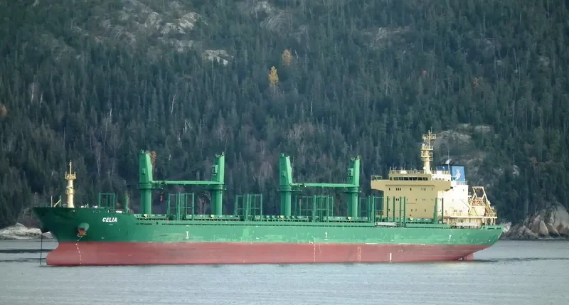 MANDULEY Bulk Carrier IMO 9571600 photo 3