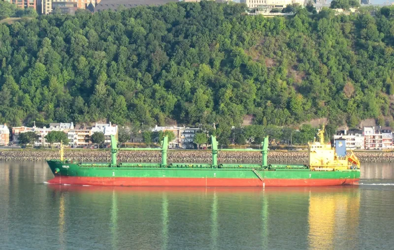 MANDULEY Bulk Carrier IMO 9571600 photo 5